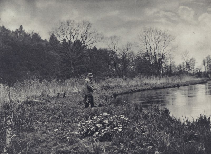 Los primeros ranúnculos de la primavera (foto en blanco y negro) de Edward Alfred Barton
