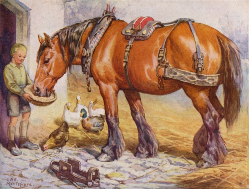 Niño alimentando a un caballo en un corral (litografía en color) de Edward Brice Montefiore