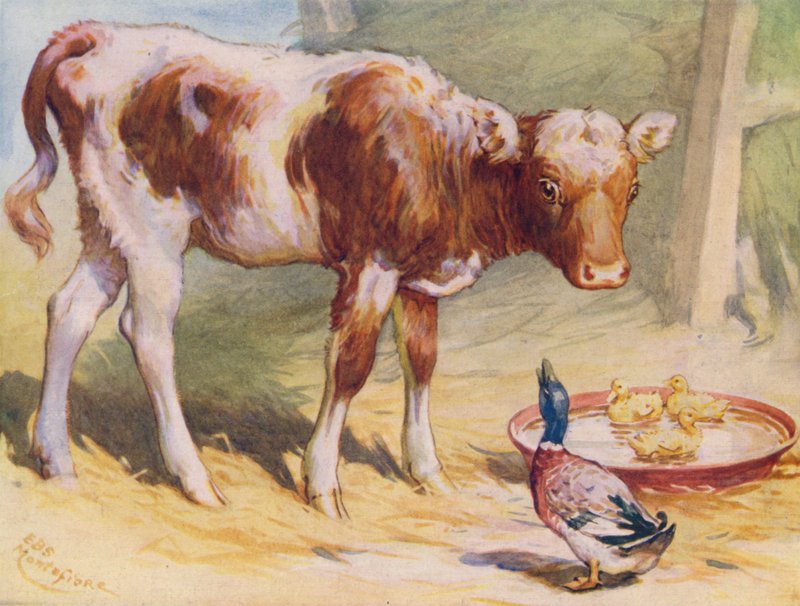 Ternera y patos (litografía en color) de Edward Brice Montefiore