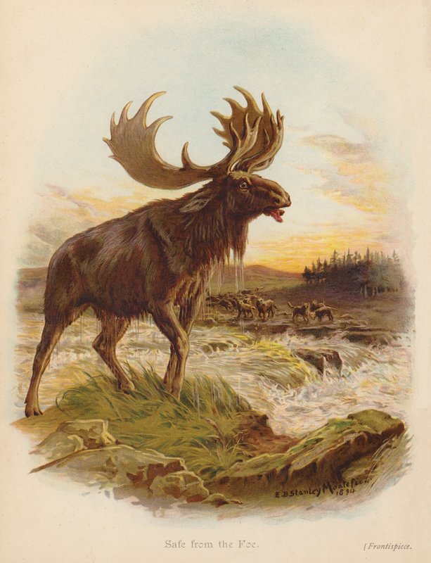 A salvo del enemigo (litografía en color) de Edward Brice Montefiore