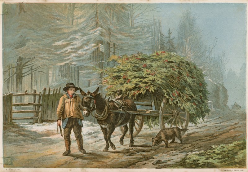 Un hombre guiando un burro de Edward Duncan