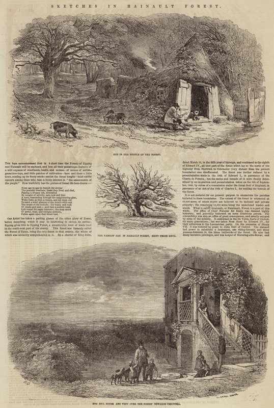 Bocetos en el bosque de Hainault de Edward Duncan