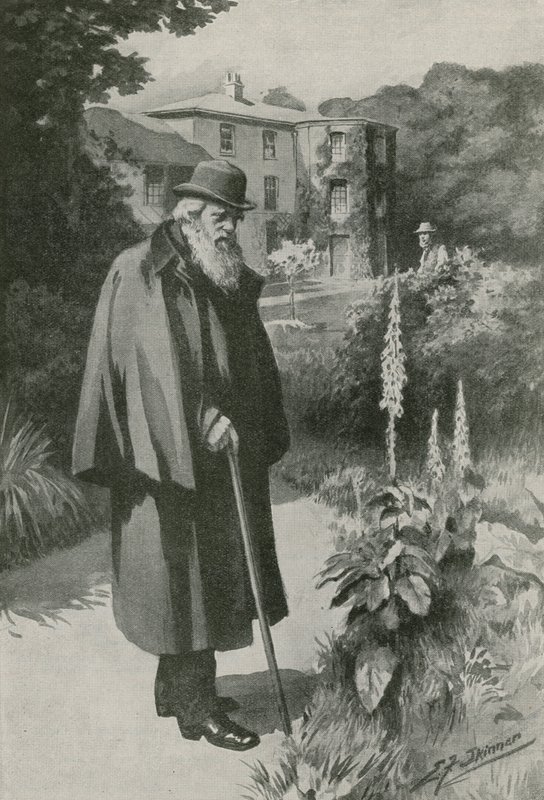 Charles Darwin en su jardín de Down House (litografía) de Edward Frederick Skinner