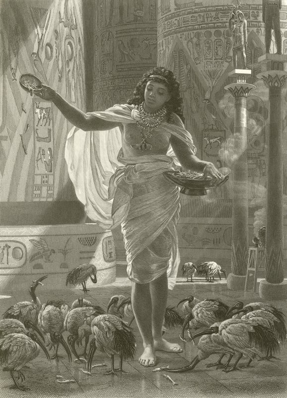 Alimentando al ibis sagrado en los salones de Karnac de Edward John Poynter