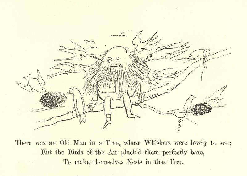 Había un viejo en un árbol, cuyos bigotes eran hermosos de ver de Edward Lear