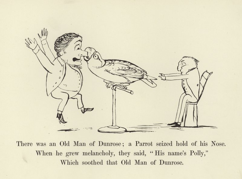 Había un viejo de Dunrose; un loro le agarró la nariz de Edward Lear