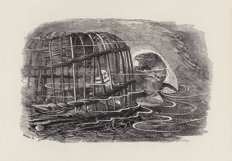 Ilustración para Los Niños del Agua de Charles Kingsley de Edward Linley (after) Sambourne