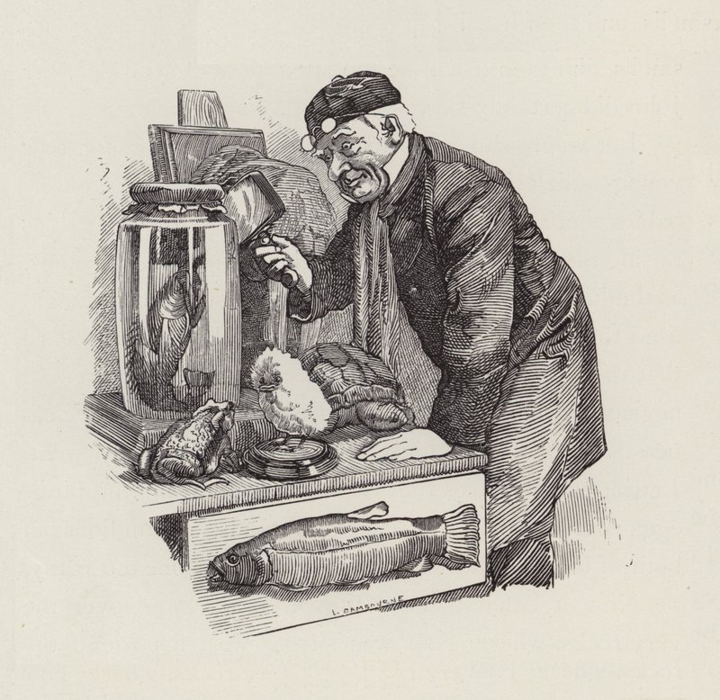 Ilustración de Los niños del agua de Charles Kingsley de Edward Linley (after) Sambourne
