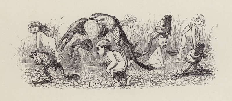 Ilustración para Los niños del agua de Charles Kingsley de Edward Linley (after) Sambourne