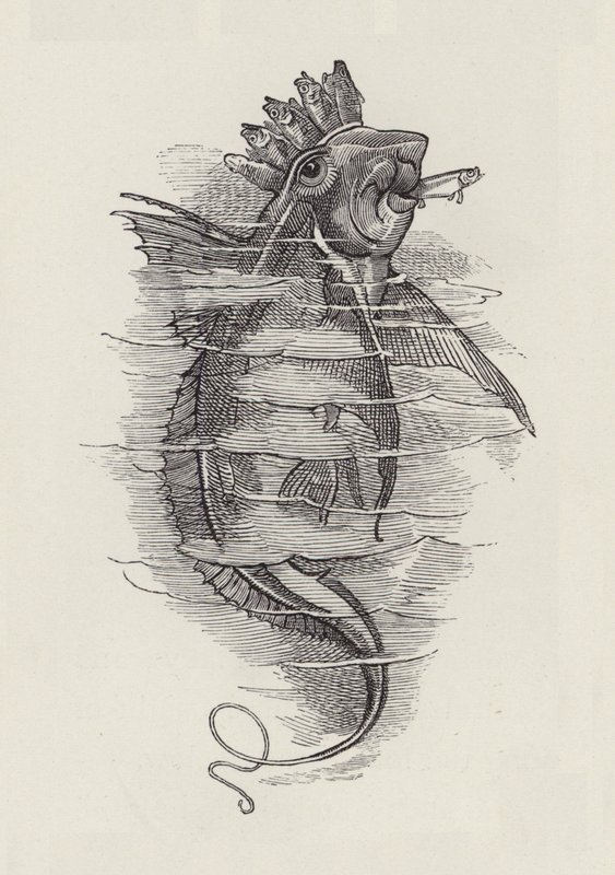 Ilustración para Los niños del agua de Charles Kingsley de Edward Linley (after) Sambourne