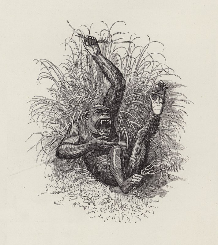 Ilustración para Los niños del agua de Charles Kingsley de Edward Linley (after) Sambourne