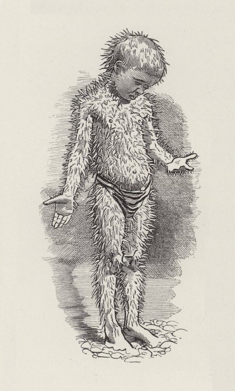 Ilustración para Los Niños del Agua de Charles Kingsley de Edward Linley (after) Sambourne