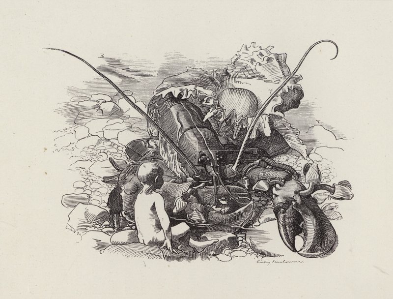 Ilustración para Los Niños del Agua de Charles Kingsley de Edward Linley (after) Sambourne