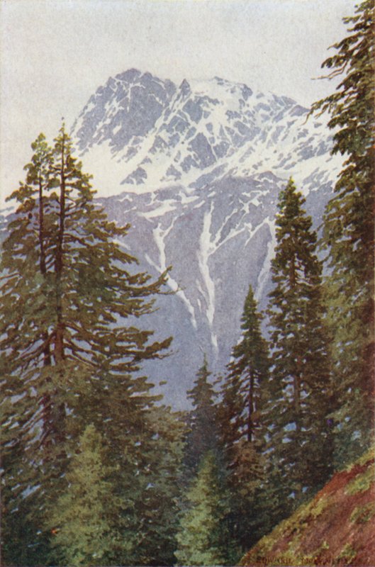 Kotwal desde el bosque sobre Kangan, Valle de Sind de Edward Mary Joseph Molyneux