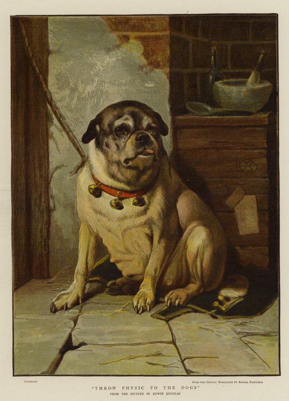 Tira la medicina a los perros de Edwin Douglas