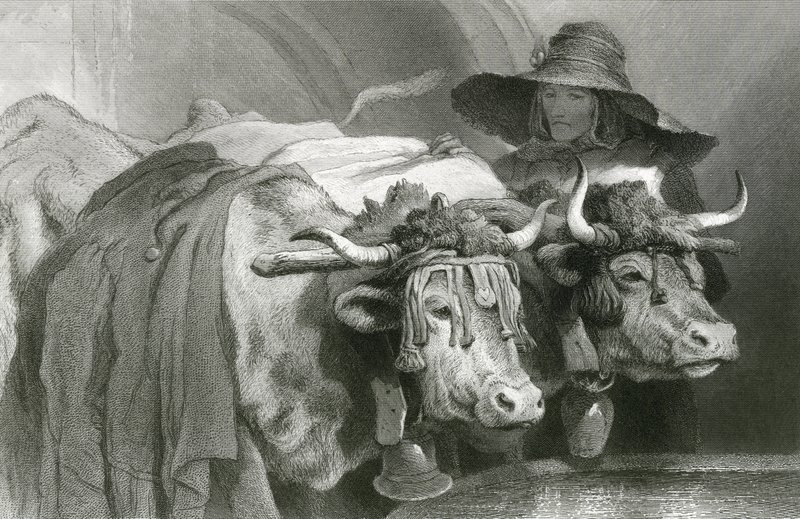 Bueyes en el tanque, Ginebra de Edwin (after) Landseer