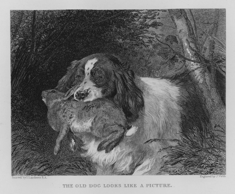 El viejo perro parece una imagen de Edwin (after) Landseer