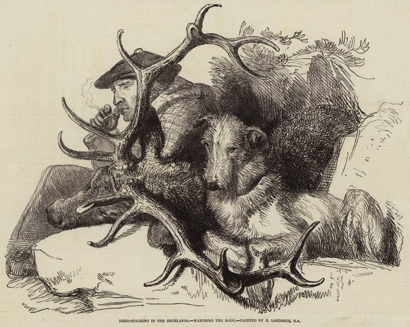 Caza de ciervos en las Tierras Altas, observando el cuerpo de Edwin Landseer