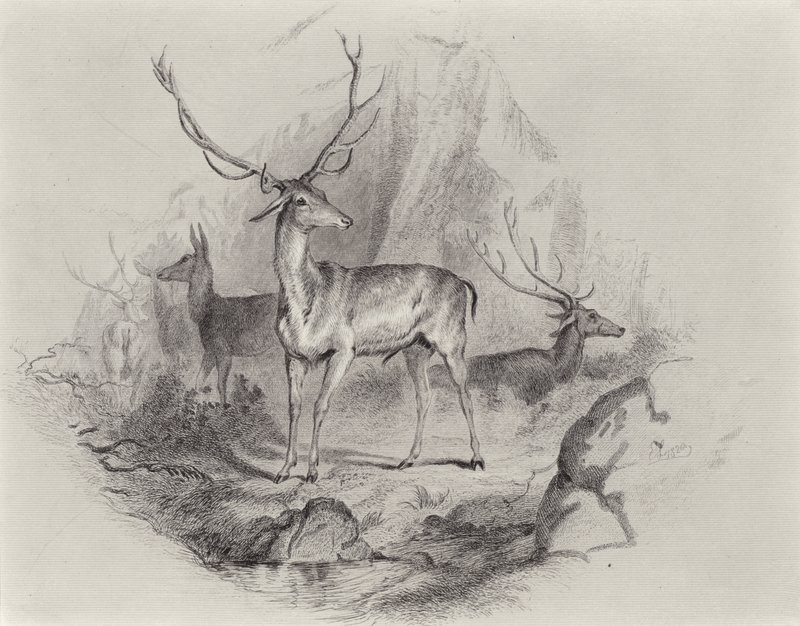 En el valle de Edwin Landseer