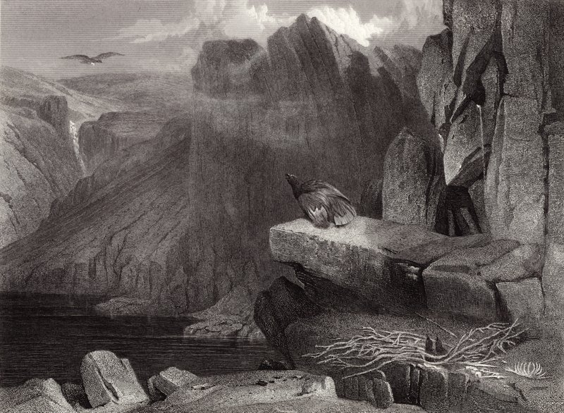 El nido del águila de Edwin Landseer