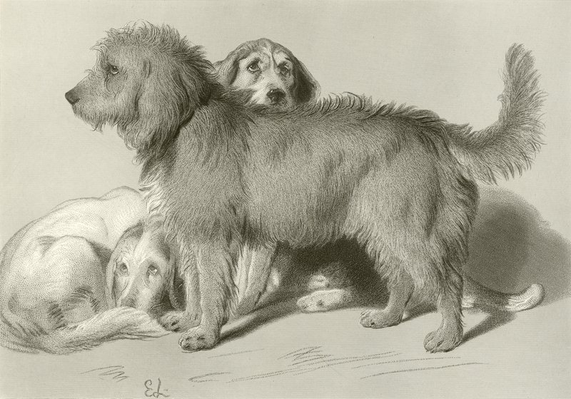 Los tres perros de Edwin Landseer