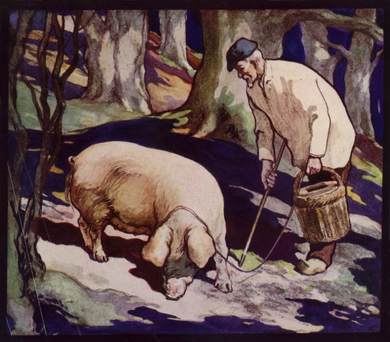 Un Cerdo Francés Cazador de Trufas de Edwin Noble