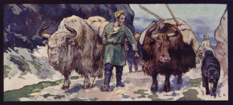 Un Tren de Yak Tibetano de Edwin Noble
