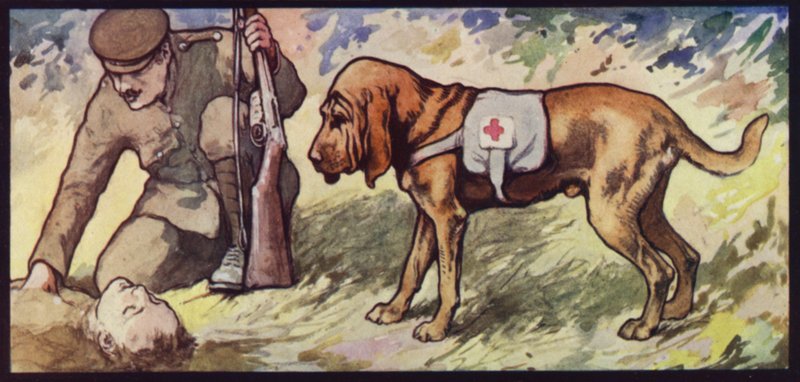 Sabueso de ambulancia de Edwin Noble