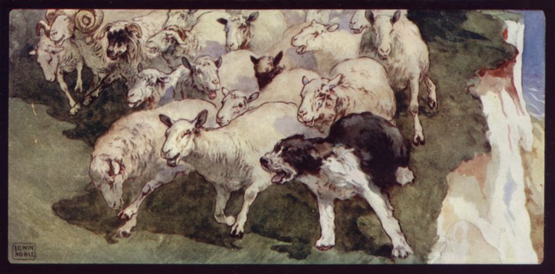 Perro Pastor Bobtail y Rebaño en los Acantilados de Edwin Noble
