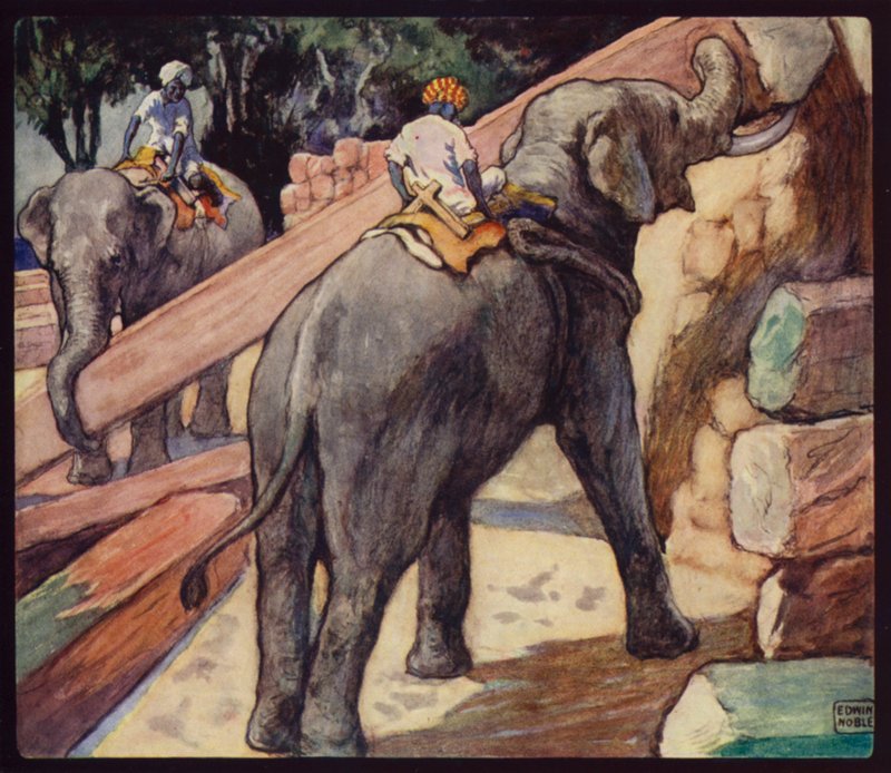 Elefantes apilando Teca de Edwin Noble