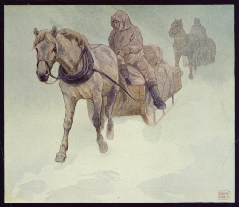 Ponis siberianos en la Antártida de Edwin Noble