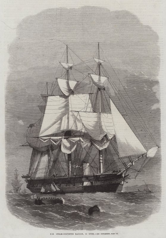HM Corbeta de Vapor Mapache, 22 Cañones de Edwin Weedon