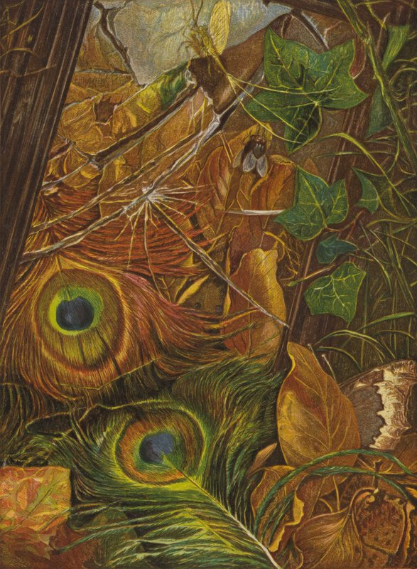 Y al niño no le importaba el espejo (litografía en color) de Eleanor Fortescue-Brickdale