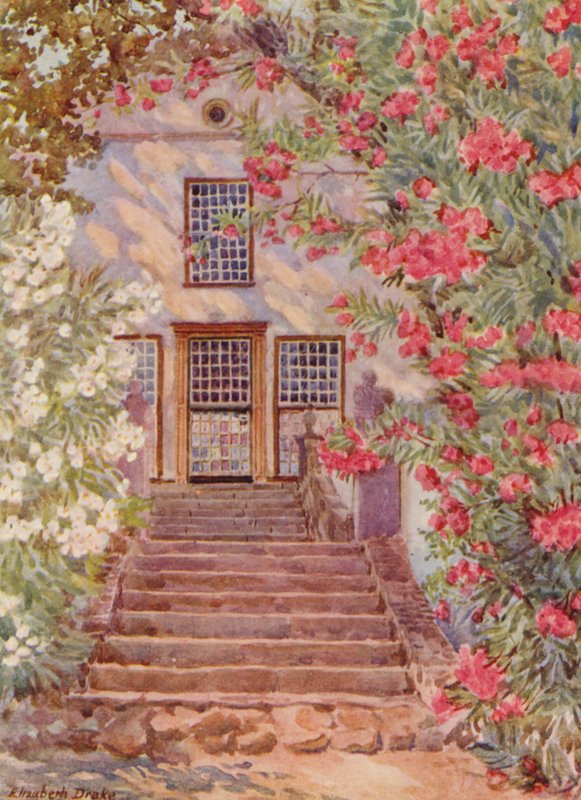 Adelfas rosas y blancas, Alphen, Wynberg (litografía en color) de Elizabeth Drake