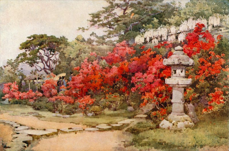 Azaleas, Awata (litografía en color) de Ella Du Cane