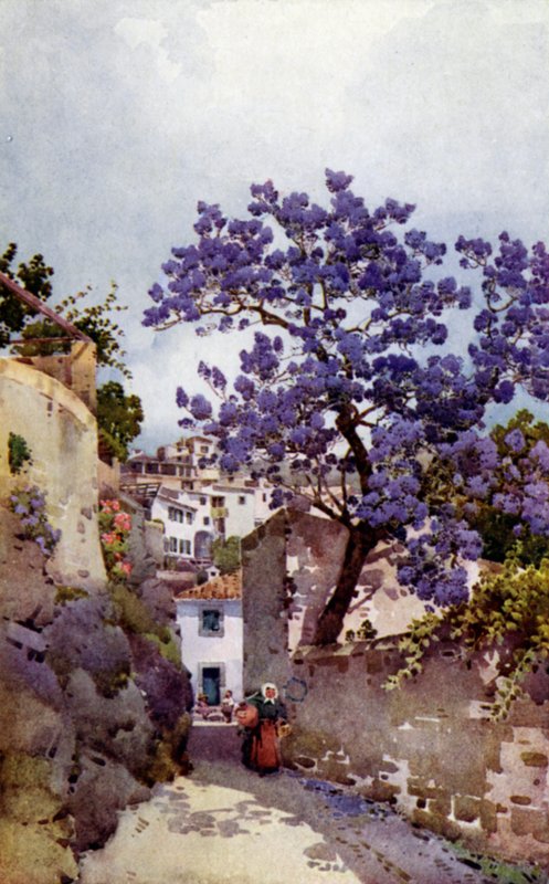Árbol de Jackaranda (litografía en color) de Ella Du Cane
