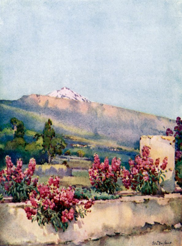 El Pico, desde la Villa Orotava (litografía en color) de Ella Du Cane