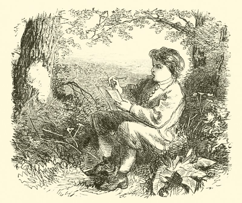David Wilkie, el niño, estudiando de la naturaleza de English School