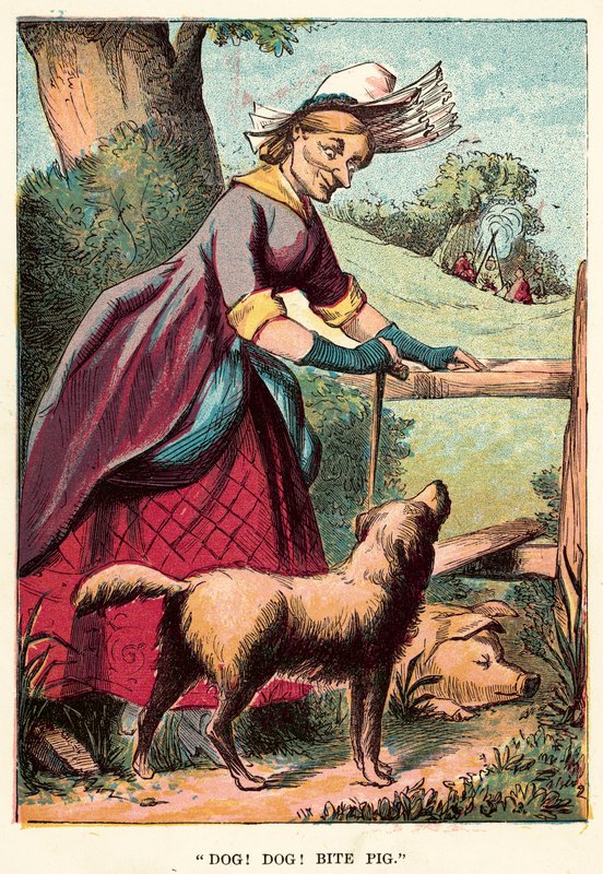 ¡Perro! ¡Perro! muerde al cerdo de English School