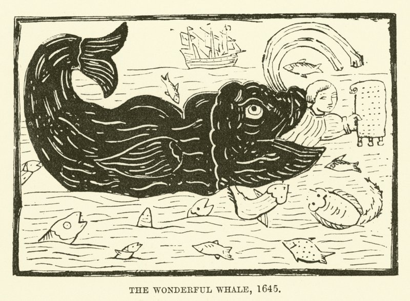 La maravillosa ballena, 1645 de English School