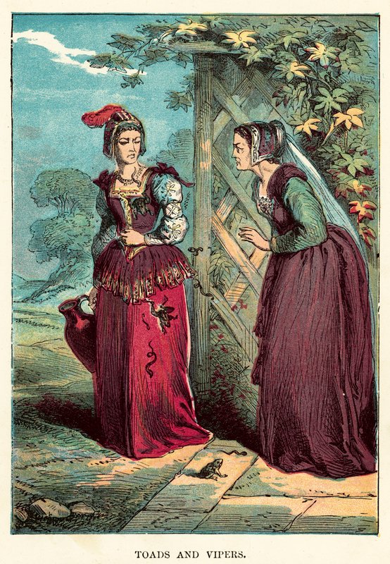Sapos y víboras de English School