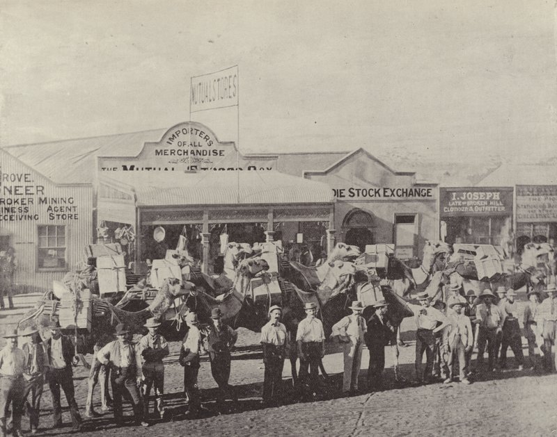 Un tren de camellos, Coolgardie, Australia Occidental de English Photographer