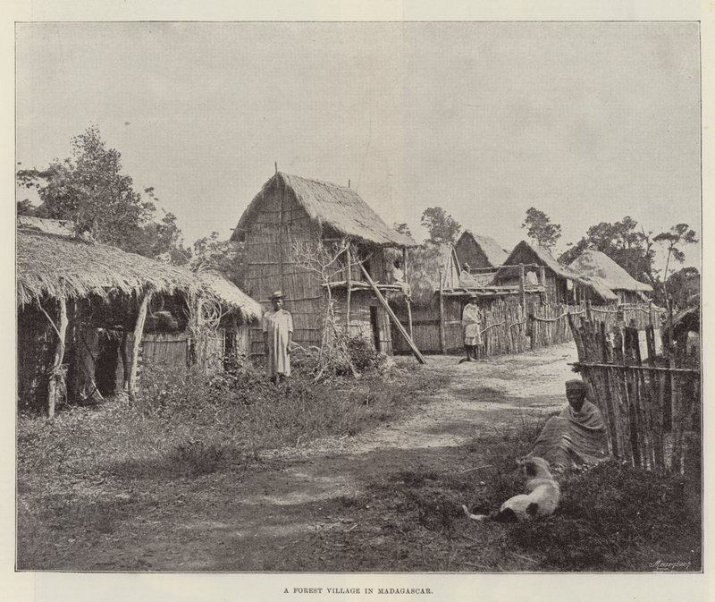 Un pueblo forestal en Madagascar de English Photographer