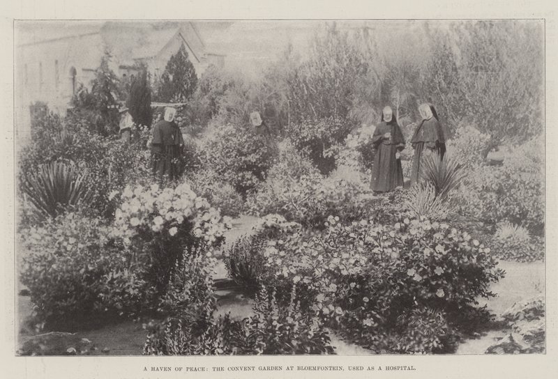 Un Refugio de Paz, el Jardín del Convento en Bloemfontein, usado como Hospital de English Photographer