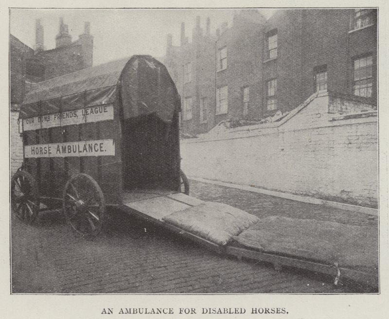 Una ambulancia para caballos discapacitados de English Photographer