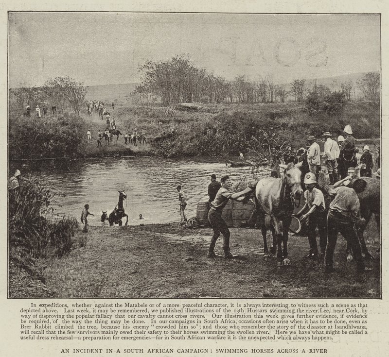 Un incidente en una campaña sudafricana, caballos nadando a través de un río de English Photographer