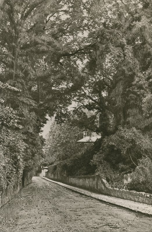 Camino de Bonchurch, Isla de Wight de English Photographer