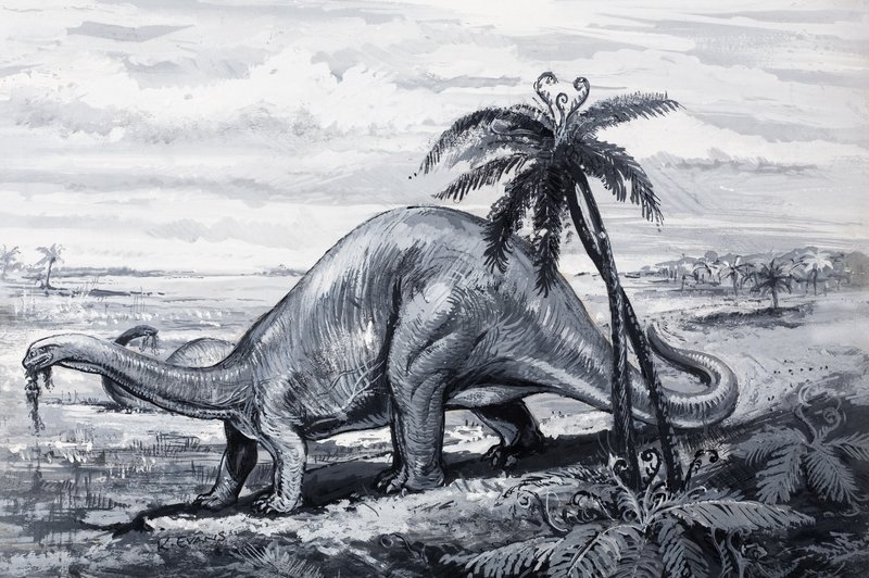 Brontosaurio de English Photographer
