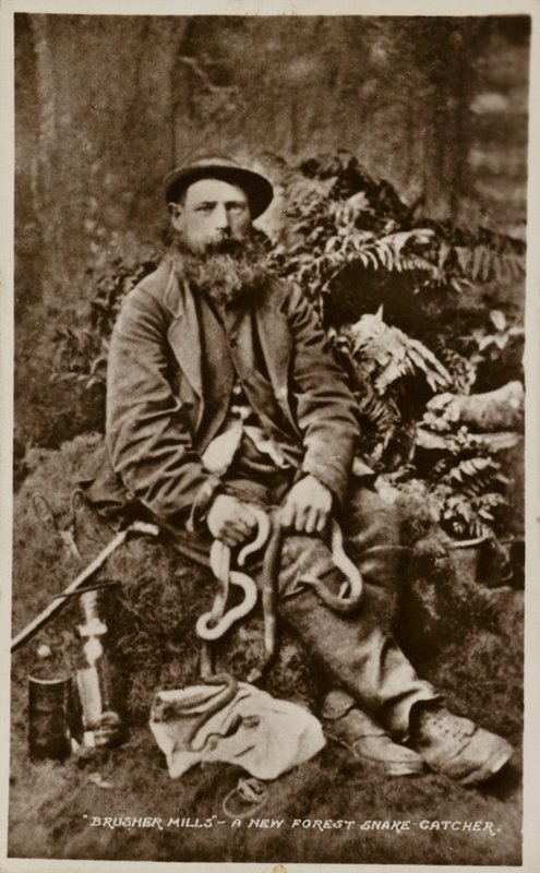 Brusher Mills, un cazador de serpientes del Nuevo Bosque de English Photographer
