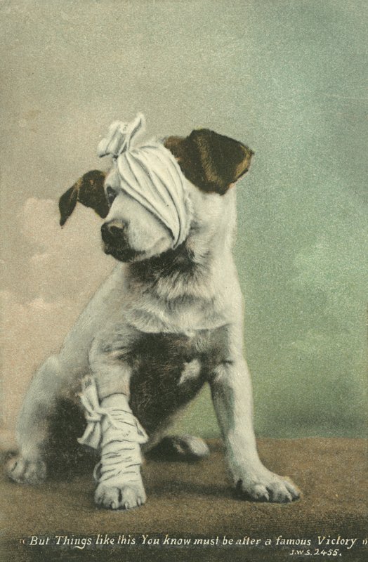 Pero cosas como esta sabes que deben ser después de una famosa victoria (foto coloreada) de English Photographer